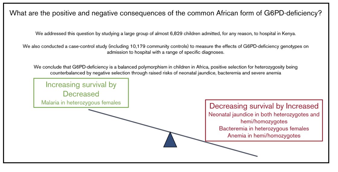 Sophie Uyoga (@uyoga_sophie) on Twitter photo Read more on the the broad impacts of G6PD c.202T deficiency on children’s health in our recently published paper #Blood_advances <a href="/KEMRI_Wellcome/">KEMRI-Wellcome</a> <a href="/alexwaiganjo/">alexmacharia</a> <a href="/Tom_WilliamsN/">Tom Williams</a> <a href="/IDeAL_KEMRI_WT/">IDeAL, Africa</a>
doi.org/10.1182/blooda… Read more on the the broad impacts of G6PD c.202T deficiency on children’s health in our recently published paper #Blood_advances <a href="/KEMRI_Wellcome/">KEMRI-Wellcome</a> <a href="/alexwaiganjo/">alexmacharia</a> <a href="/Tom_WilliamsN/">Tom Williams</a> <a href="/IDeAL_KEMRI_WT/">IDeAL, Africa</a>
doi.org/10.1182/blooda…