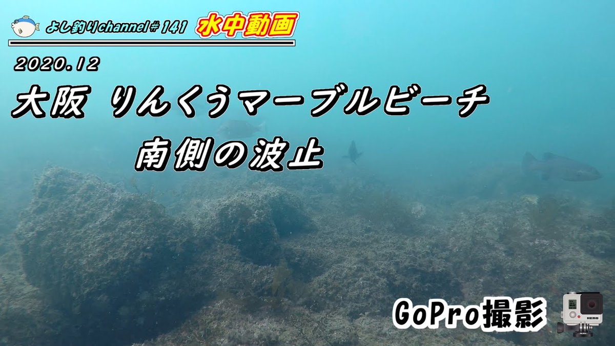 よし釣りchannel Cyhoasnhnie30 Twitter