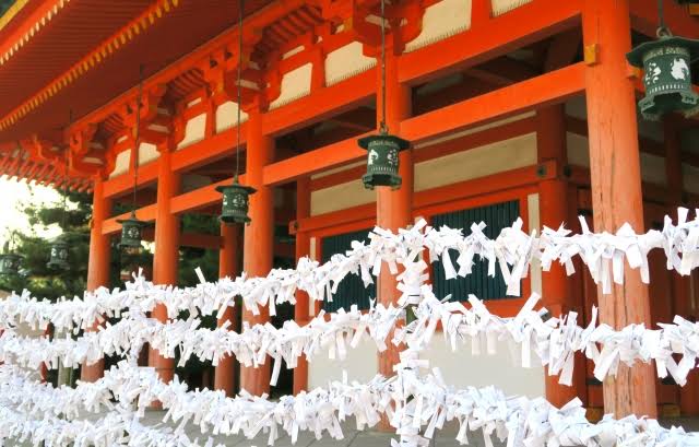 Omikuji (おみくじ) tweet media