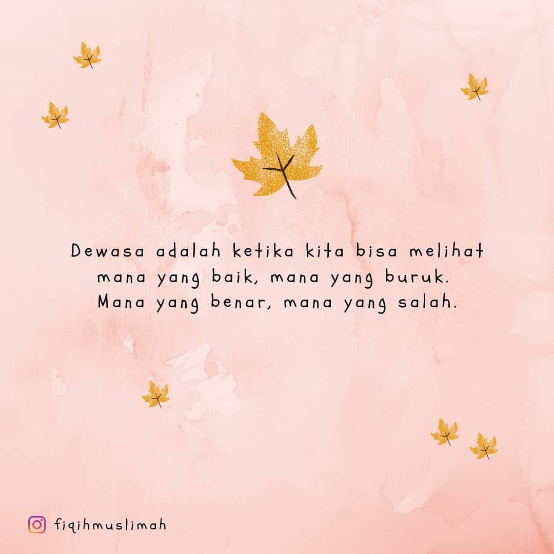 Thy (@Thy87644805) / Posts / X