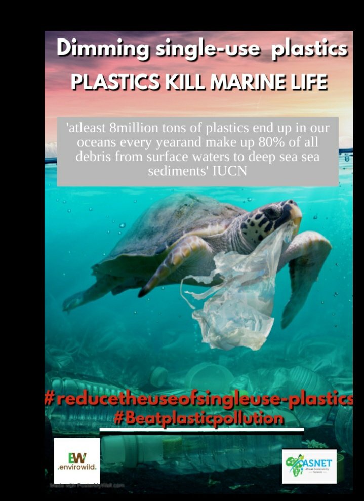 AfricanSustain3's tweet photo. Plastics pollute marine ecology, threatens safety and quality of sea food leading to human health problems. #Sustainability #beatplasticpollution #ReduceReuseRecycle #reducesingleuseplastics
#responsiblelittering @Ckibii @AfricanSustain3 @NemaKenya @CLEANUPKENYADAY https://t.co/3gibbuIor6