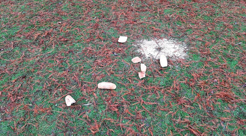 Vandaag bij het #Afrikaanderplein in <a href="/rotterdam/">Gemeente Rotterdam</a> om de aandacht te vestigen op de heersende #rattenplaag. Het waarschijnlijk goed bedoelde voeren van de eendjes werkt daar ook aan mee.

#ratterdam #vanderattenbesnuffeld #zwerfafval #rattenvoer #bah #afval #indebak #houhetschoon