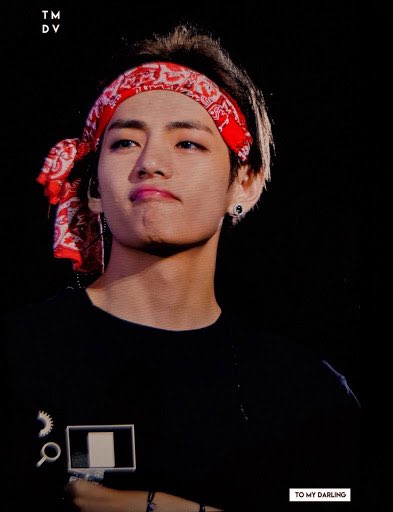 this photo sequence.