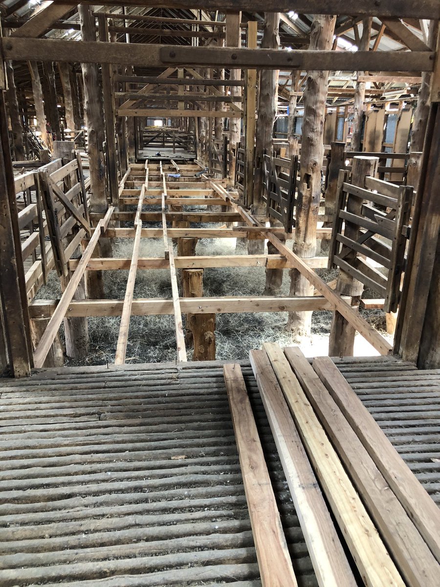 98 years on and time for some fresh pine