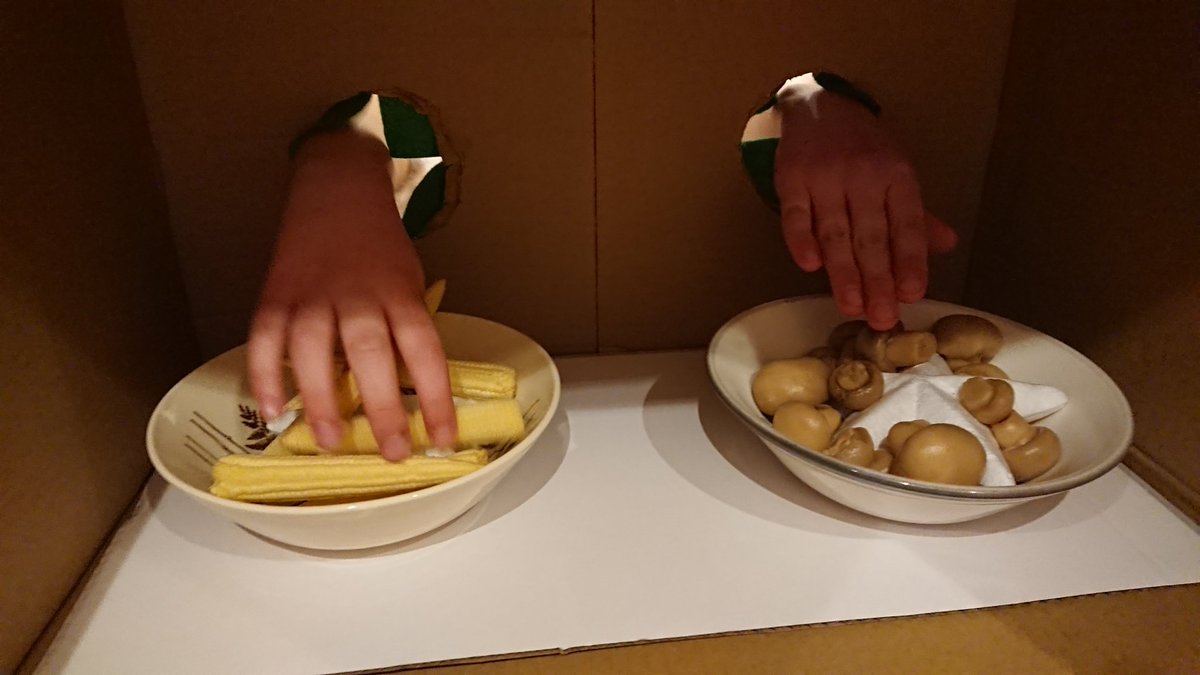 Emily &amp; Oliver playing <a href="/imacelebrity/">I'm A Celebrity... Get Me Out Of Here!</a> style games for Emily's 9th birthday. <a href="/AbbotsPrimary/">AbbotsLangleyPrimary</a> <a href="/MissLilley1/">Miss Lilley & Miss Bolton</a> #winningstars