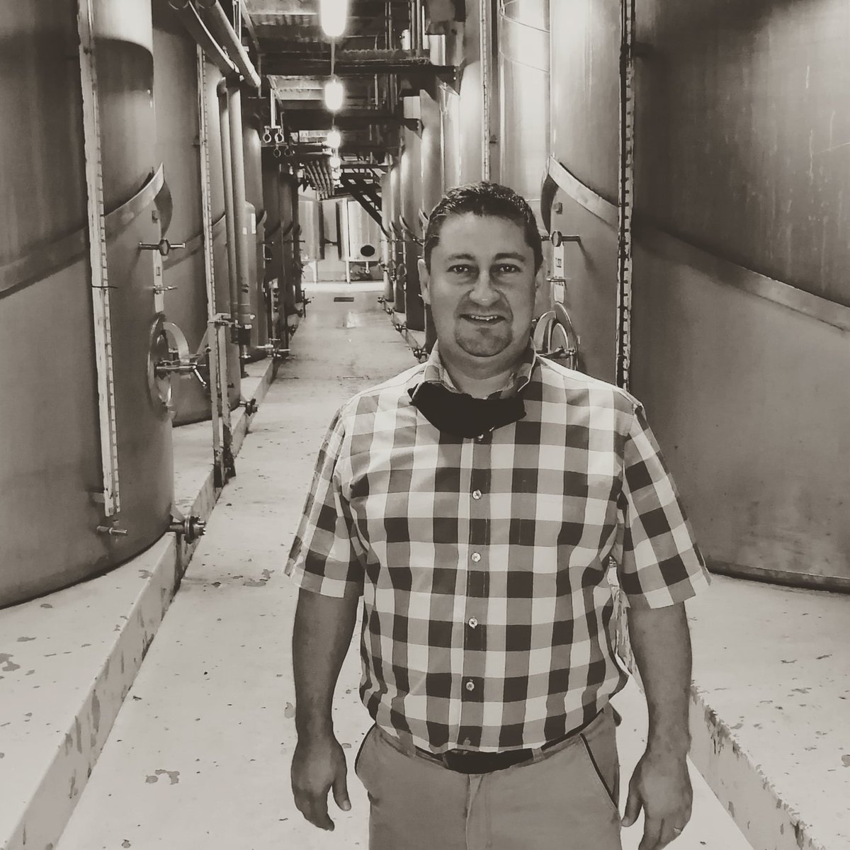 mridgewines's tweet photo. Time to taste the white wines. 
Winemaker Carel Hugo sampling some of the white wine tanks in our cellar.
Wonderful White Wines in the making... #watchthisspace

@BreedekloofWine
@BreedeMakers https://t.co/5ofsNIvsYx