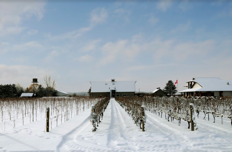 IcewineA's tweet photo. Dreaming of a white Christmas? Channel the frozen landscape of the Canadian vineyards - simply with a sip of IceWine.
#Icewine #icewineafrica #wine#festiveicewine #icewinechristmas #icewinecocktail #breaktheice https://t.co/E48Su0p5Xk