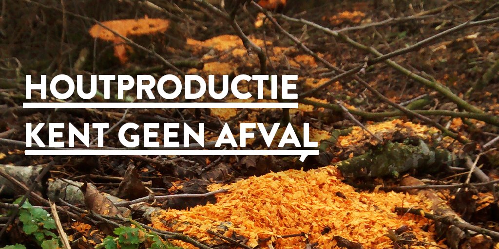 houtvannu's tweet photo. 🤎

#houtnatuurlijkvannu #bouwenmethout #duurzaam #circulair #biobased https://t.co/n3kjBmuKwS