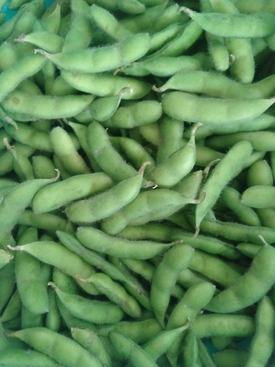 Edamame is used shelled or whole. They are sources of high-quality protein and healthful fat. They have been  investigated for chronic disease prevention and treatment. They reduce risk of coronary heart disease, breast and prostate cancer. lnkd.in/eyvNXzb 
#Eatsafebesafe