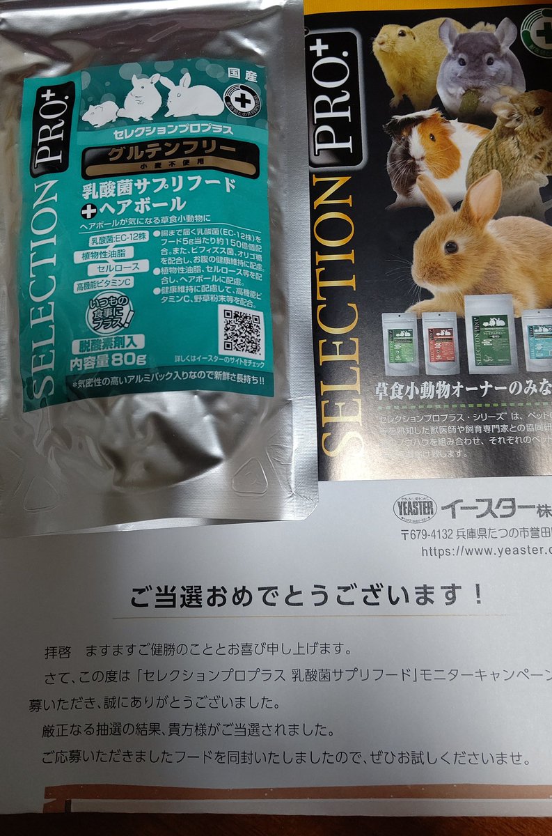 イースター株式会社もちこ Yeaster Jp Twitter