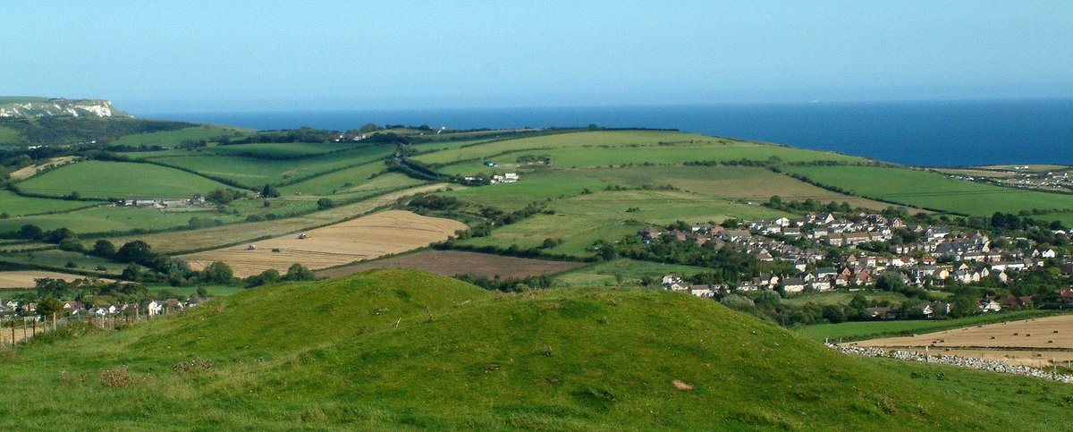 Dorset LEP tweet media