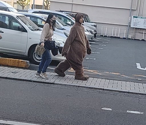 タグ ジャニーズwest の注目ツイート 11ページ目 メガとんトラック