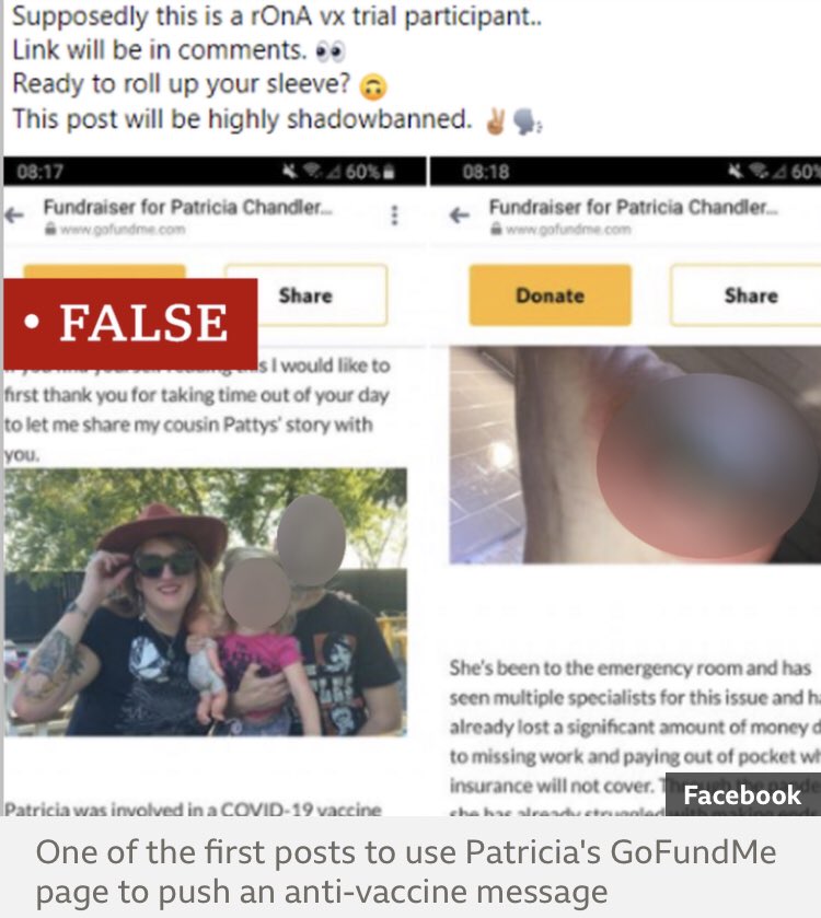 Patricia's story is one example of a recurring pattern. Fringe activists find a story that seems to supports their entrenched views, and spread it rapidly online, regardless of the underlying truth. Patricia "wants this to all be over" - and to find the cause of her condition.