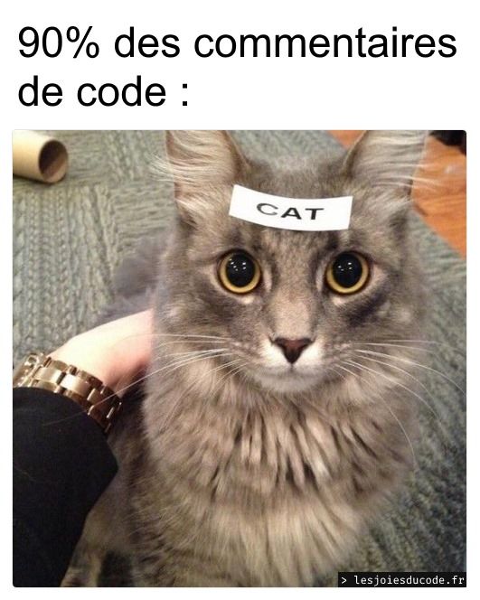 Un code bien commenté, c'est important 👌 lesjoiesducode.fr/un-code-bien-c… #lesjoiesducode