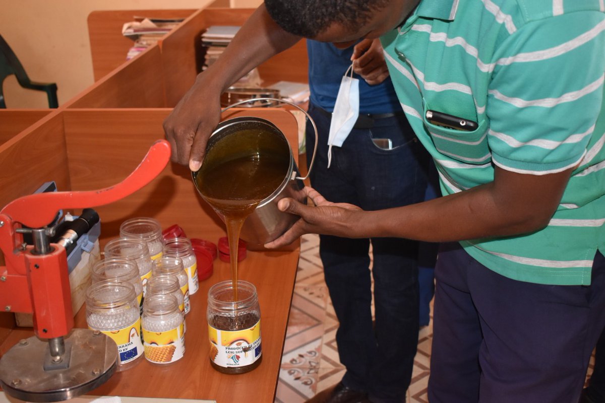 BORESHA_HoA's tweet image. Beekeeping is a means to diversify livelihoods &amp;amp; a diversified livelihood is a more secure one. Today as value addition, we provided one of our LCIG groups in Mandera🇰🇪 with honey production tools including sealing machines &amp;amp; containers. @EUinKenya | @europeaid