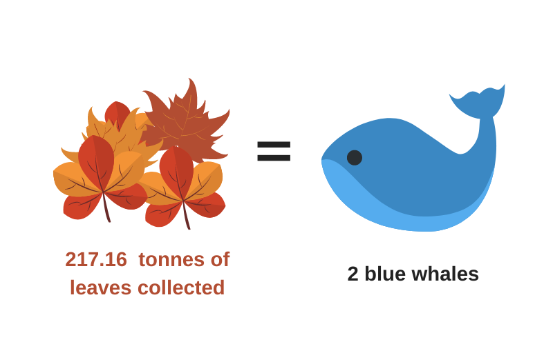 OneTrafford's tweet photo. Two ๐!! That's a whole lot of leaves collected last week!!
This week, our leaf clearance teams are making a splash, revisiting Bowdon and Davyhulme. Give them a wave if you see them ๐๐ #Traffordnumbers #Autumn #blueplanet2 https://t.co/I0DXqODmqp