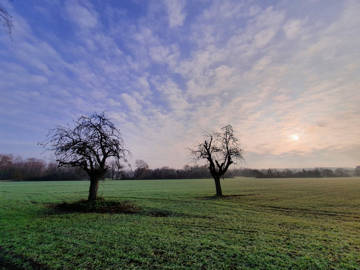 Wenn ich die Stadt hinter mir lasse, entspannt sich jeder Muskel meines Körpers und meine Gedanken werden frei und wild. #WilderWandel #Natur