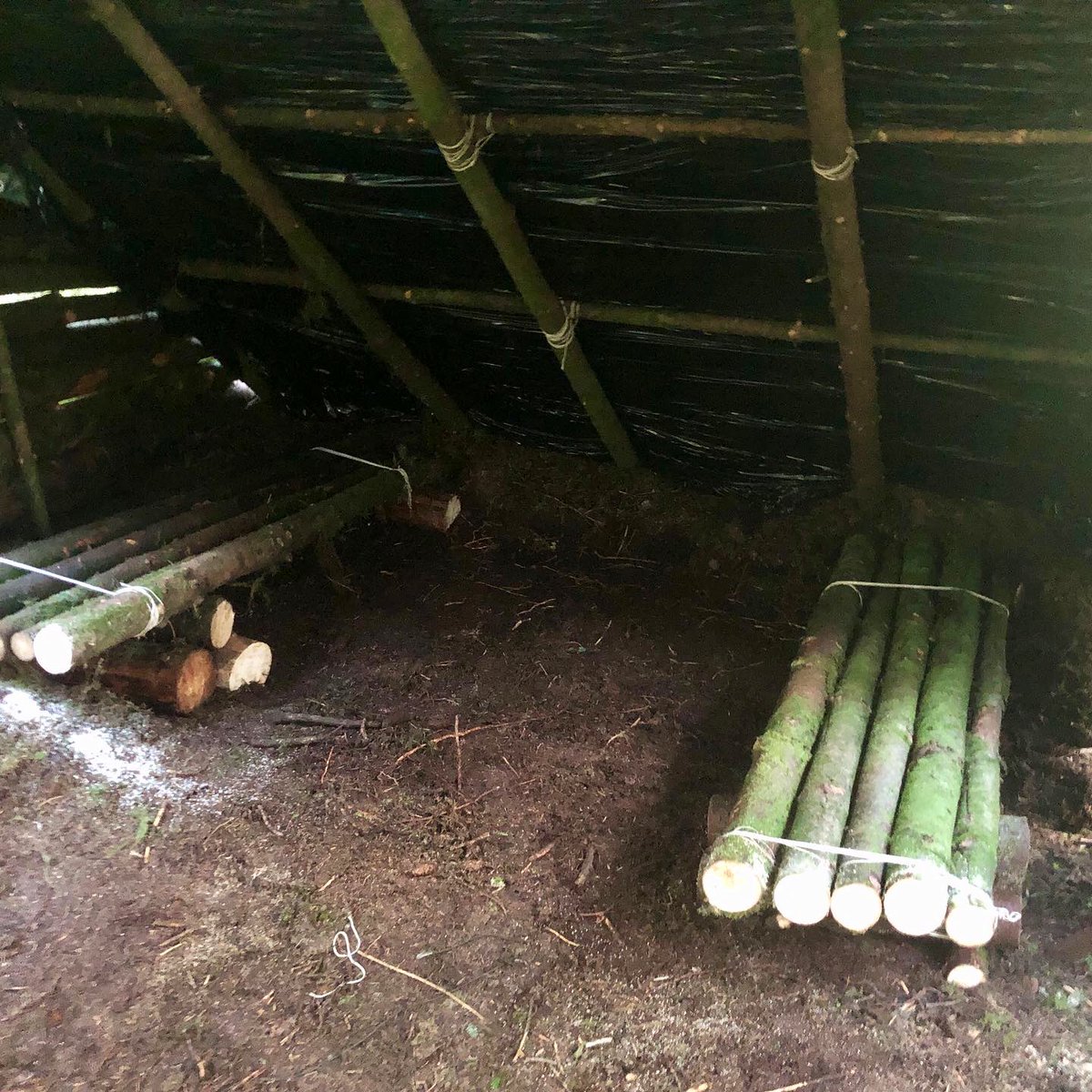 Carlow_Wild's tweet photo. A lot of hours went in to her , but she’s a beauty 👊🏻 @PioneerIreland @WildwoodUK @Ed_Stafford @PrimalBushcraft #camp #winter #bushcraft #shelter #survive https://t.co/8L268auPuN