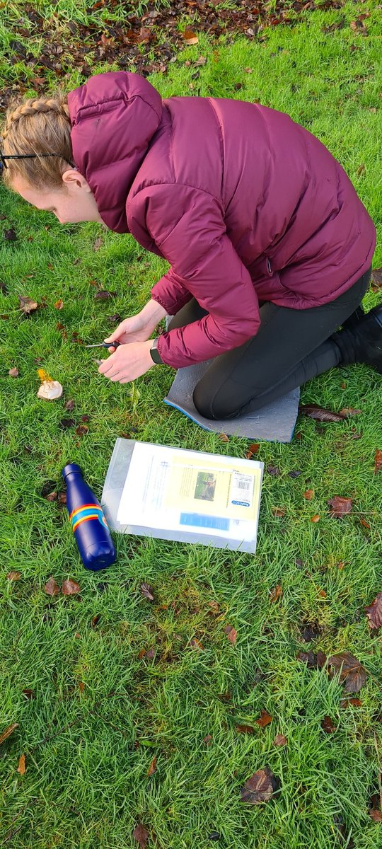 DeborahThom5's tweet image. #HNCChildhoodPractice  Outdoor play with @DAEngageMe. Fire building 🔥 with @Stevehaden nature crafts, nature walk,🌲 @angusalive Building their toolkit for practice. @ELCScotGov #moresuccessfulstudents #LEtsgetoutside @CYPTeam1 @dundee_angus