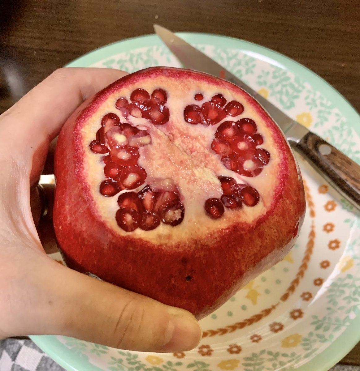 冥界の果実ザクロを八百屋にて発見 神秘的な気分になりたくて生まれて初めて実食して 木崎アオコのイラスト