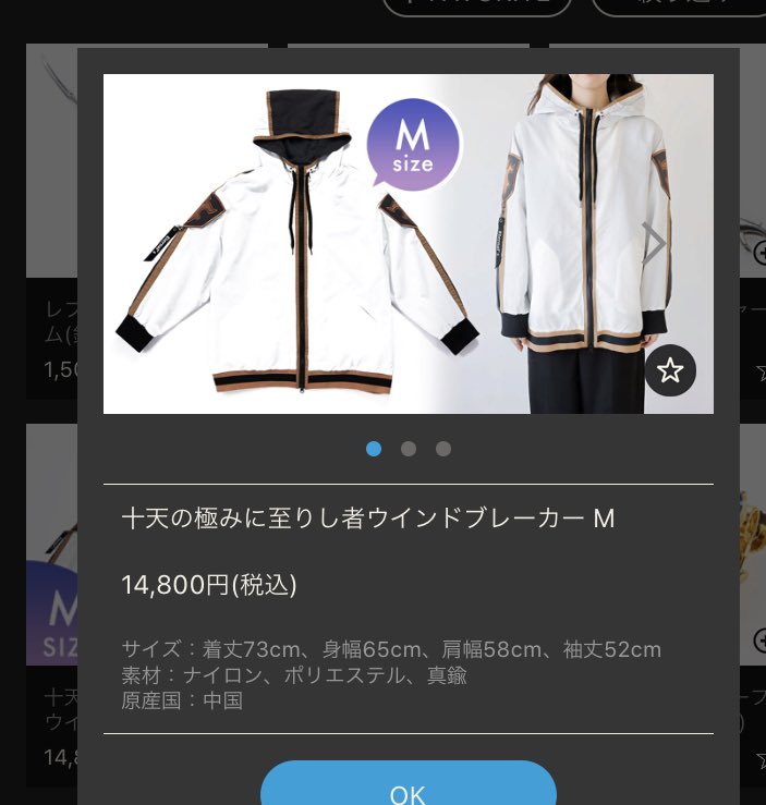 新品本物 十天の極みに至りし者ウインドブレーカー キャラクターグッズ News Elegantsite Gr