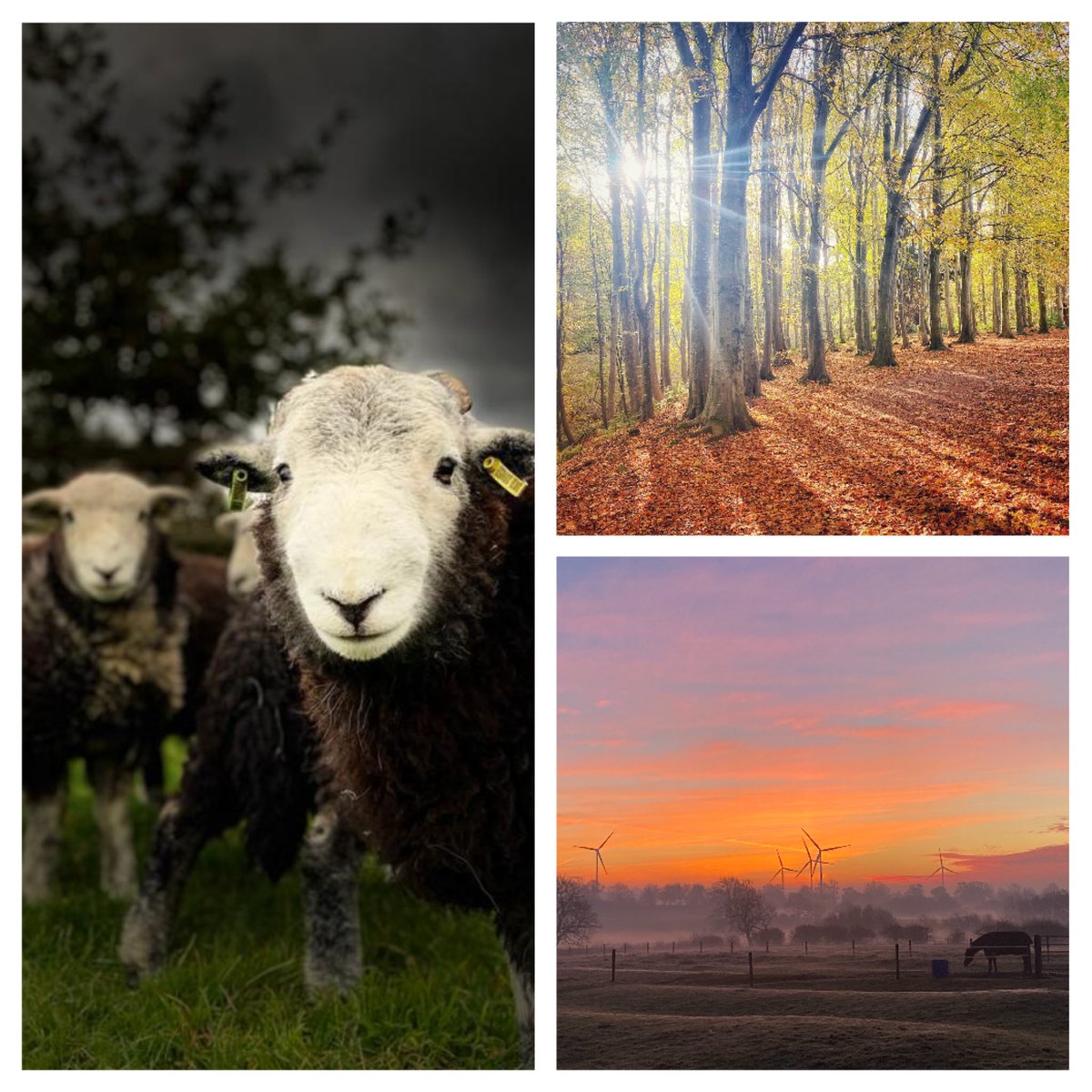 TheMasterframer's tweet image. 🏆 📸 It's almost time to announce the winner of our Winter Well-being Photography Competition, help us choose our champion! 🏆 📸
We need your help picking one of them.We have narrowed down to our top 12. Like, comment and share your favourite entry.
Good luck to everybody 🤞