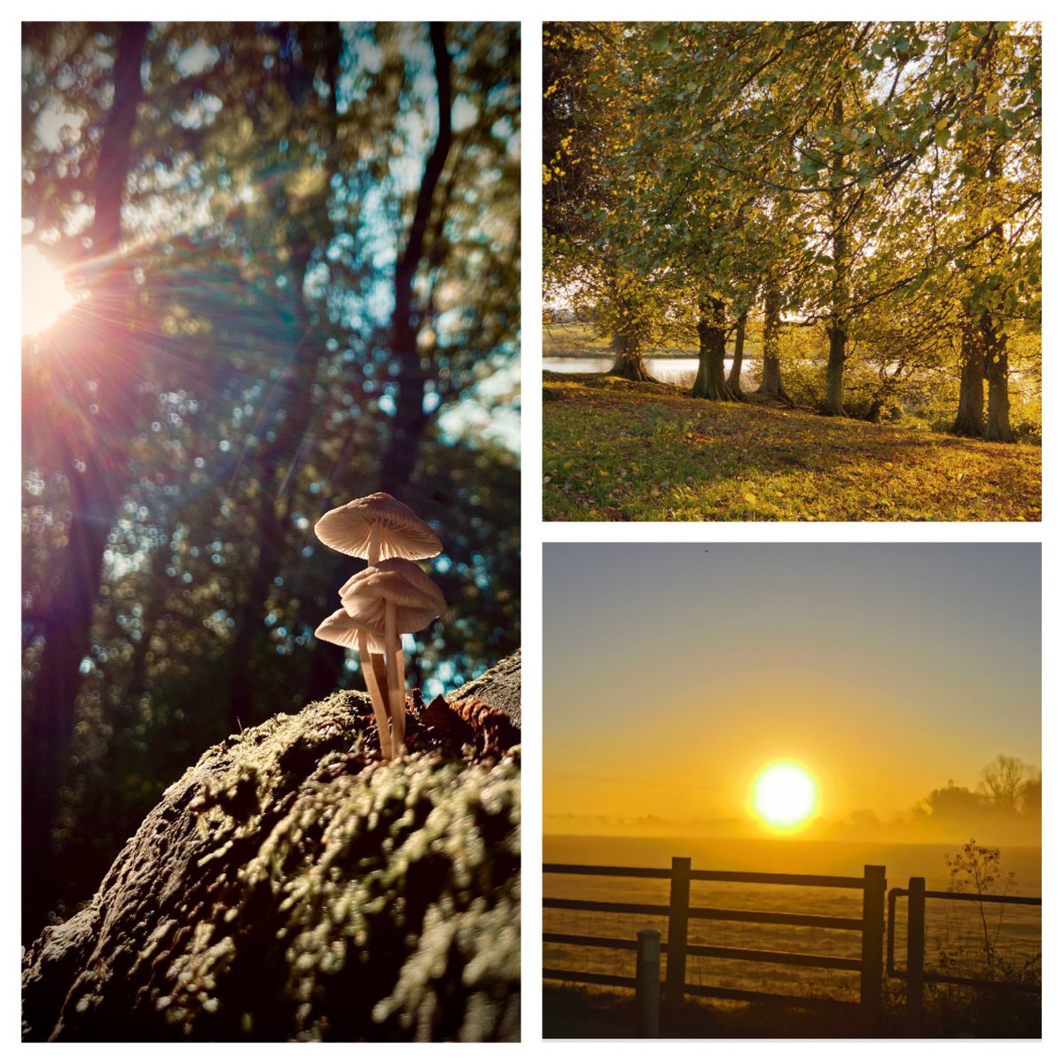 TheMasterframer's tweet image. 🏆 📸 It's almost time to announce the winner of our Winter Well-being Photography Competition, help us choose our champion! 🏆 📸
We need your help picking one of them.We have narrowed down to our top 12. Like, comment and share your favourite entry.
Good luck to everybody 🤞