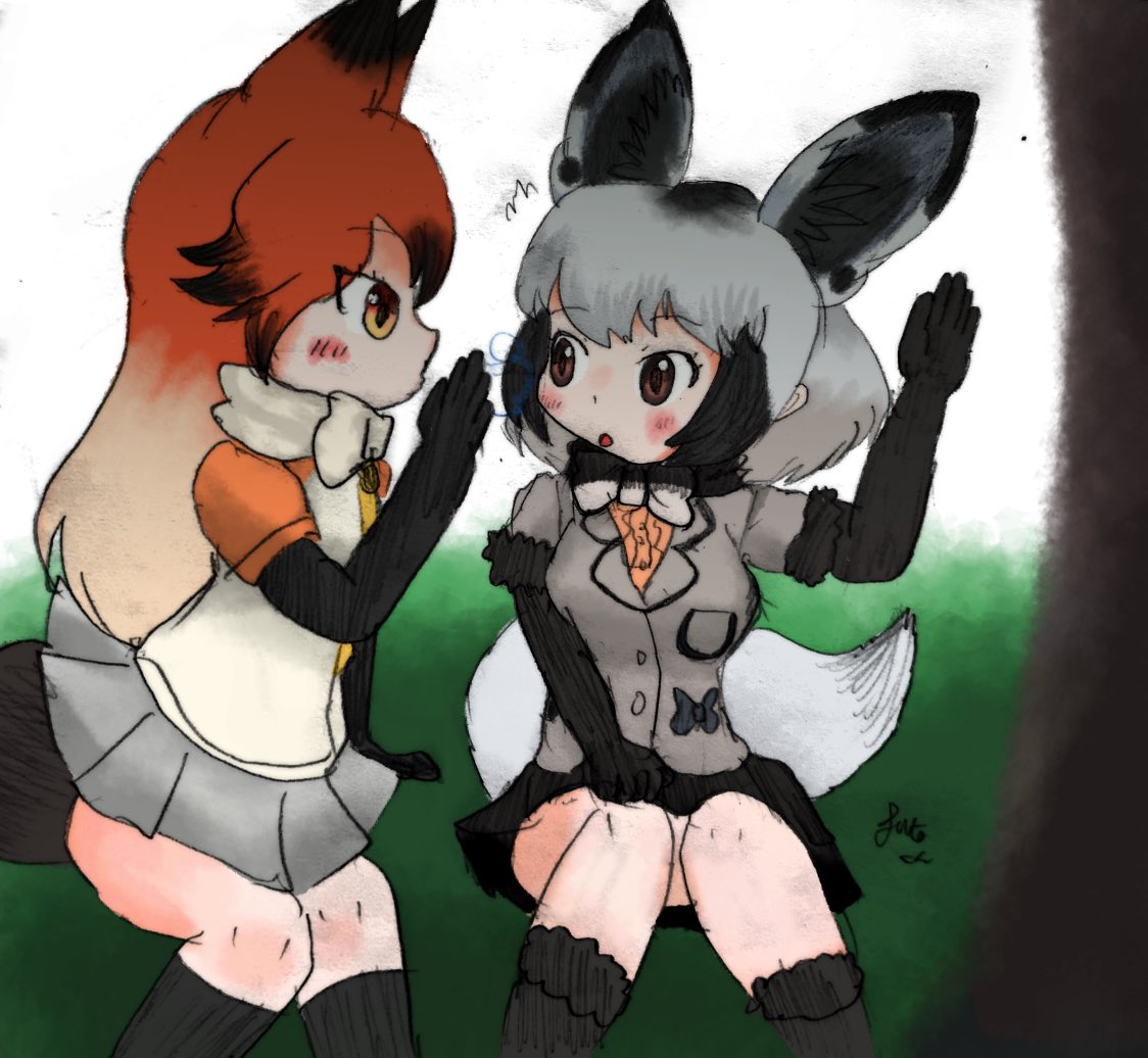 けもフェスの花火イベントの時に描いたアカギツネとオオミミギツネです アカギツネ ｆｕｔｏｋｕｎのイラスト