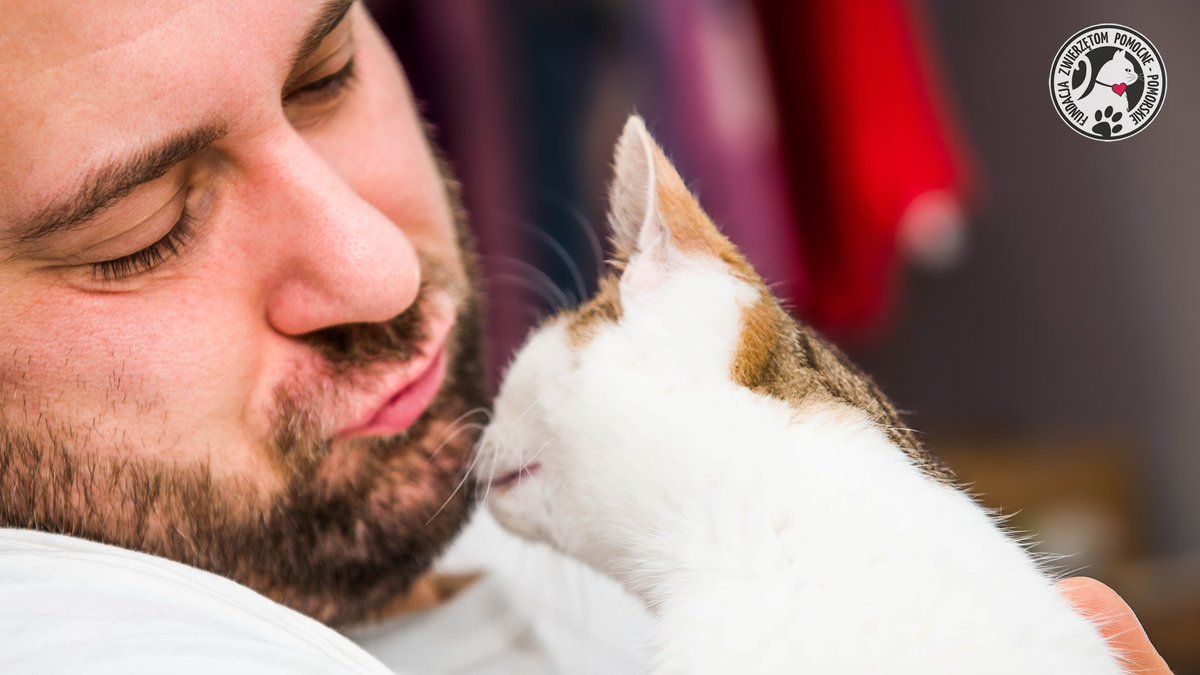 fundacja_zwierz's tweet image. Podobno dzień rozpoczęty buziakiem będzie dobrym dniem. W takim razie dzisiejszy zapowiada się przednio😍
💕Patryk &amp;amp; Pysio💕
ratujemyzwierzaki.pl/jedynyratunek

#koty #pysio #fundacja #zwierzoluby #CatsOfTwitter