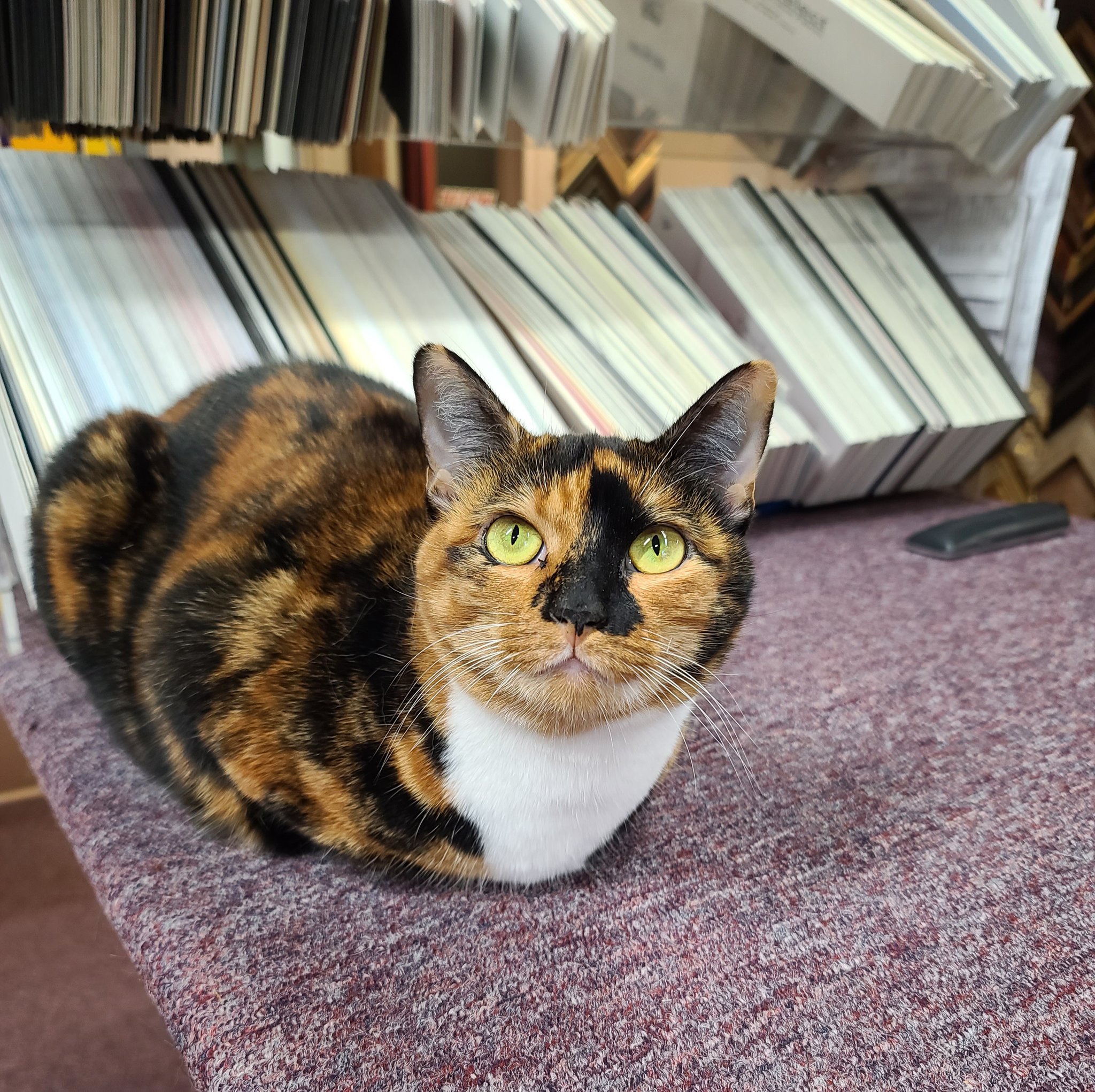 Art & Frame Etc. (ArtAndFrameEtc) / Twitter