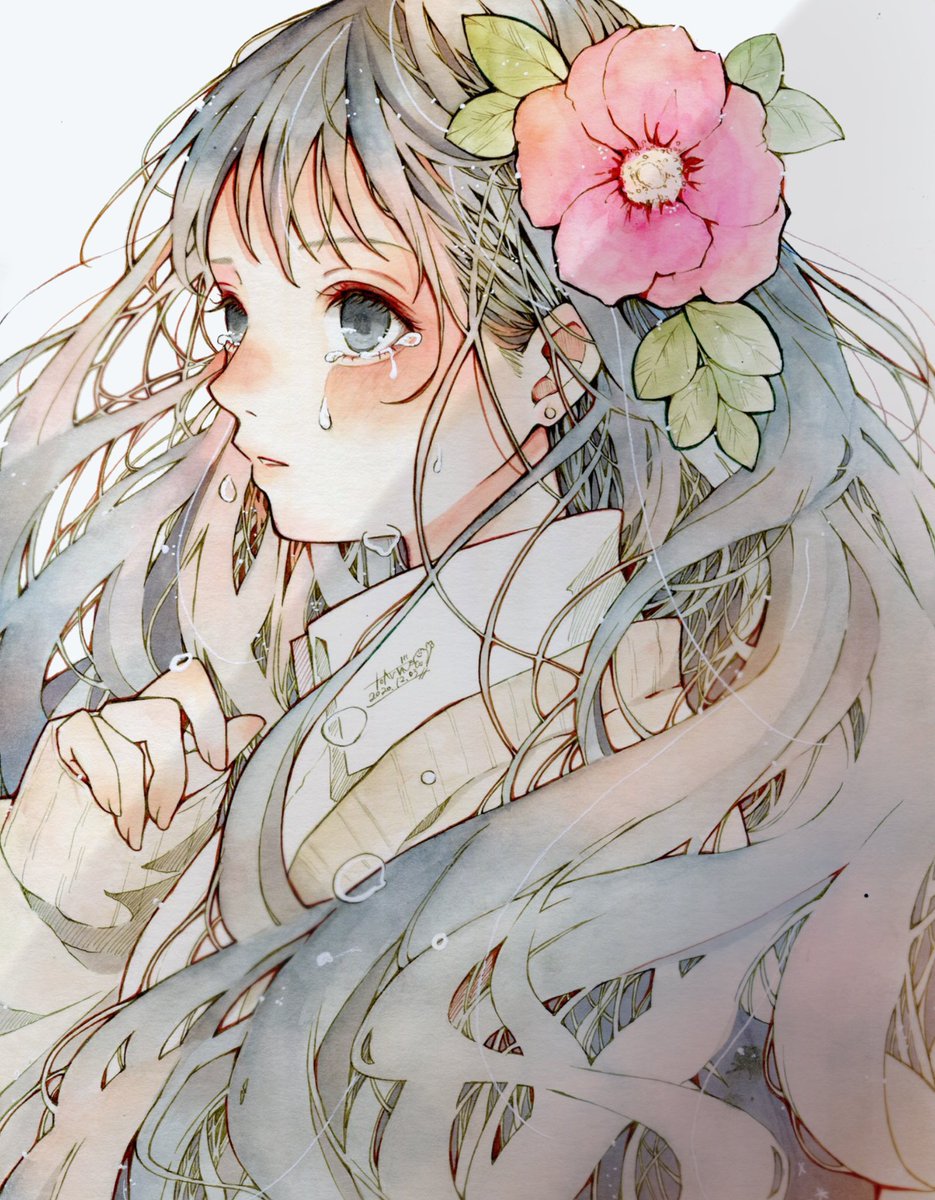 ハマナス 花言葉 悲しくそして美しく とあるお茶 Comitia さ05b のイラスト ハマナス 花言葉 悲しくそして美しく とあるお茶 Comitia さ05b のイラスト