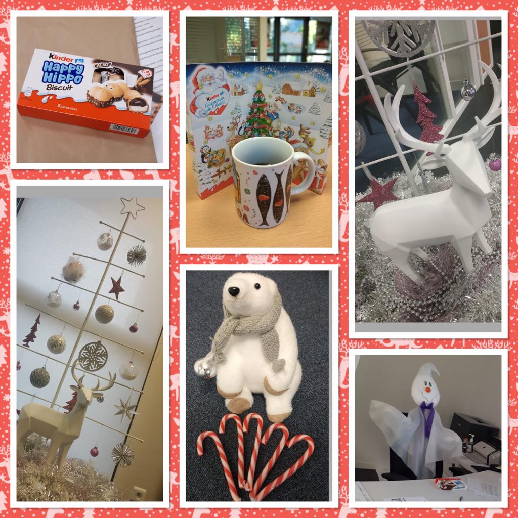 CMB ROH🅰️N REGUINY tweet media