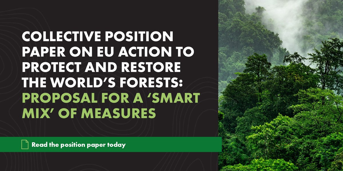 There is no silver bullet that will end  #deforestation.​ That's why we teamed up w/  @tfa_Global and 50+ companies, NGOs, and industry bodies to call the EU to adopt mixed measures necessary to protect and restore the world's forests  #ClimateAction    https://bit.ly/37MkkOh 