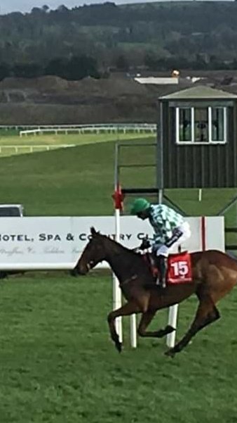 JoeSeward1's tweet photo. 2 YEARS AGO TODAY
TREBLE
#TornadoFlyer 4/9
#Min 1/1
#Getabird 4/7
@punchestownrace
@Ruby_Walsh
@WillieMullinsNH
( Ricci Double )
2 years later Min & Tornado Flyer were 1st & 2nd last Sunday .
Haven't seen Getabird since win @GowranPark1 2019
#Punchestown
#HorseRacing
#Min https://t.co/NKkAeSZwjh