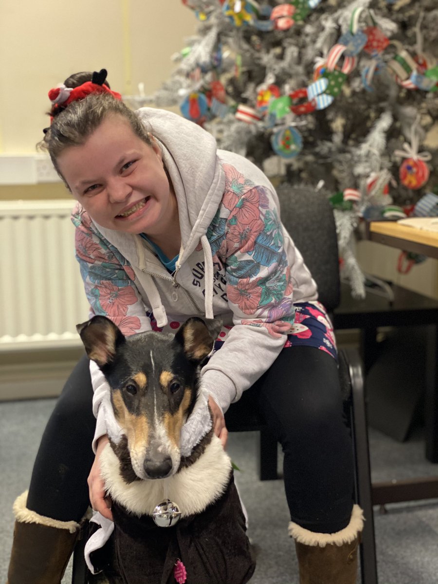 ILSBridgendColl's tweet photo. ILS OCR2 had another fab morning training and walking Lyra the Smooth Collie. Lyra even got invited into the Xmas jumper photos 🎅🏽🤶🏽🐾 #therapydog #tistheseason #smoothcollie @BridgendCollege https://t.co/qZyKl2XeWv