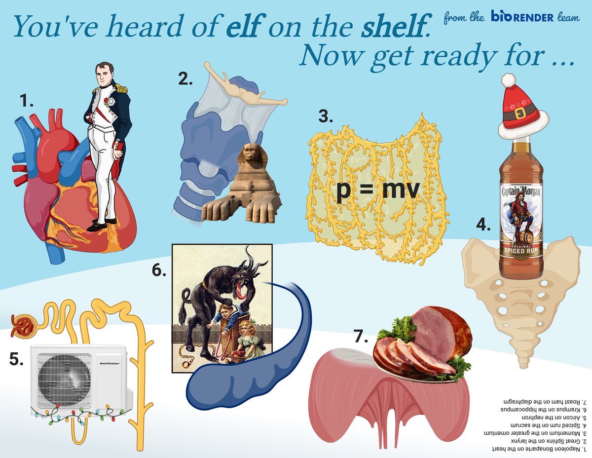 Mikaela Stiver, PhD (@mikaelastiver) on Twitter photo <a href="/MTJPT/">Mike Jones</a> Here’s a start 😁
Made a little holiday e-card for my PT students full of #ElfOnTheShelf memes 🙌🏼 <a href="/MTJPT/">Mike Jones</a> Here’s a start 😁
Made a little holiday e-card for my PT students full of #ElfOnTheShelf memes 🙌🏼