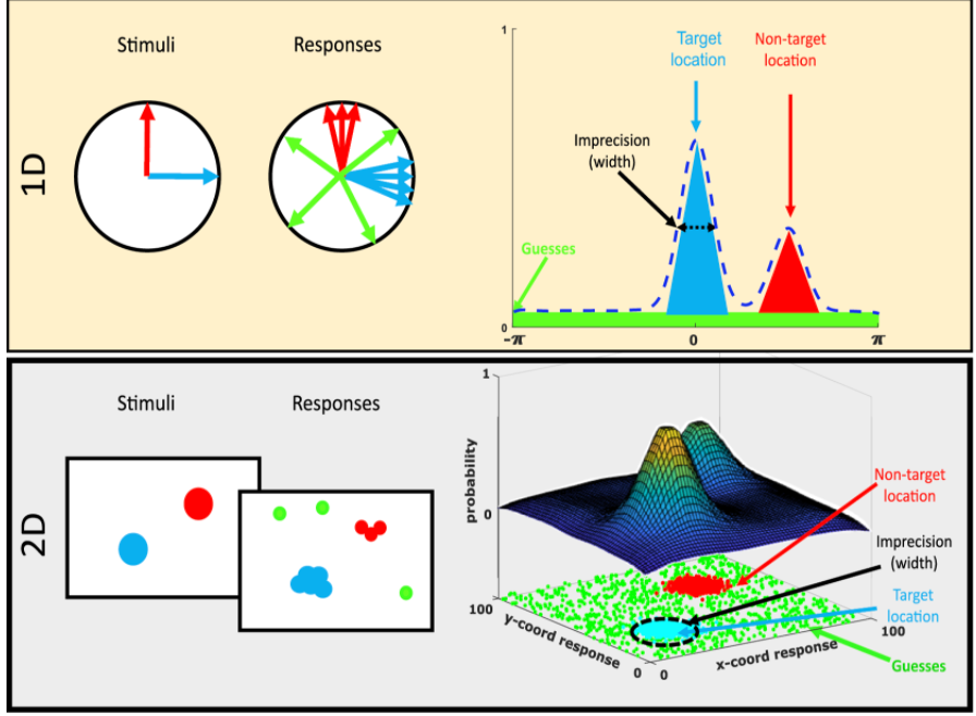 ARVOJOV's tweet image. A new paper published in @ARVOJOV presents a method to isolate sources of spatial error in tasks where participants have to report the spatial location of an item in #memory, using two-dimensional #mixturemodels.

Read more in the free article: tinyurl.com/yymzw5ax @NDCNOxford