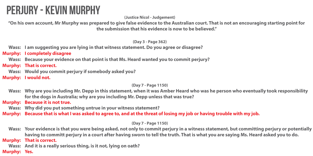 One of his witnesses claims he committed perjury because he felt like Amber was threatening him, despite providing no evidence for that. Completely undermining any evidence he gave in this case as a result.