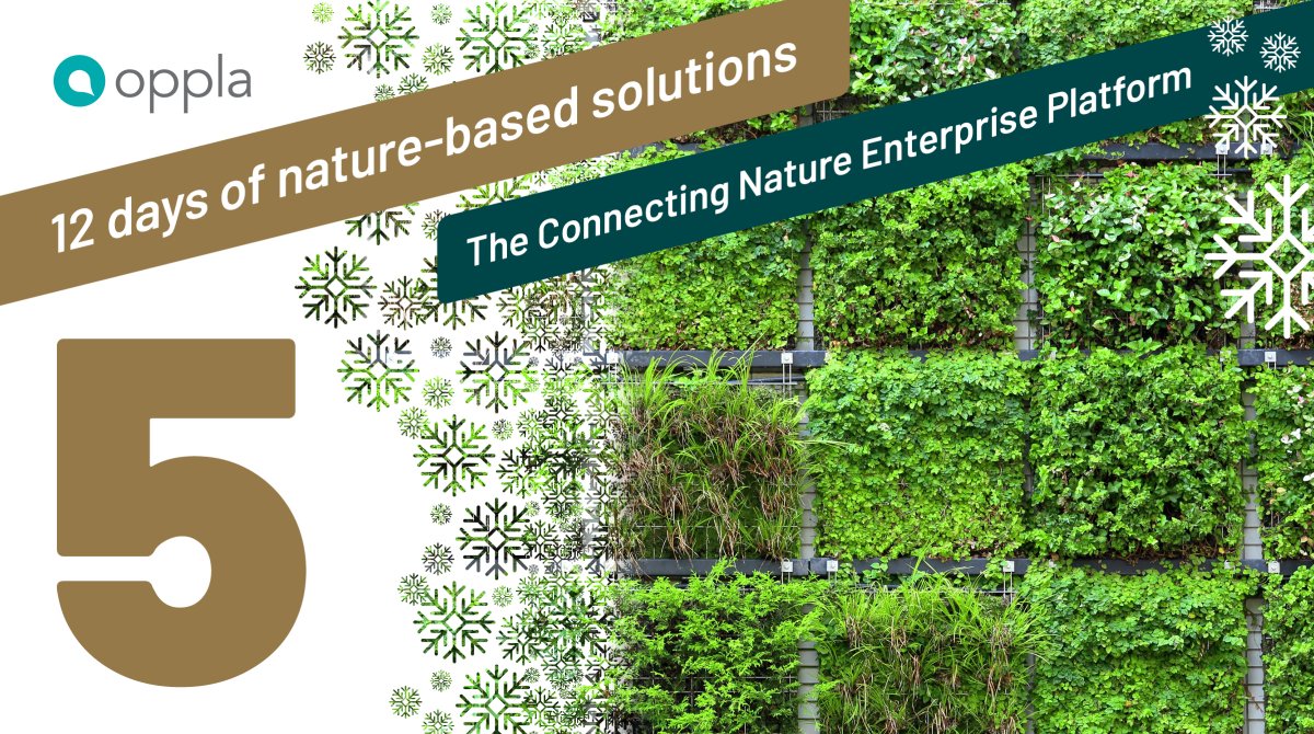 OpplaCommunity's tweet photo. 'Tis the season for shopping and the @ConnectingNBS Enterprise Platform is a new shopfront for businesses supplying #NatureBasesdSolutions 🎁

Find out more on day five of the #12DaysofNBS: https://t.co/BPGQ5WEvjL https://t.co/taRnOBz3IM