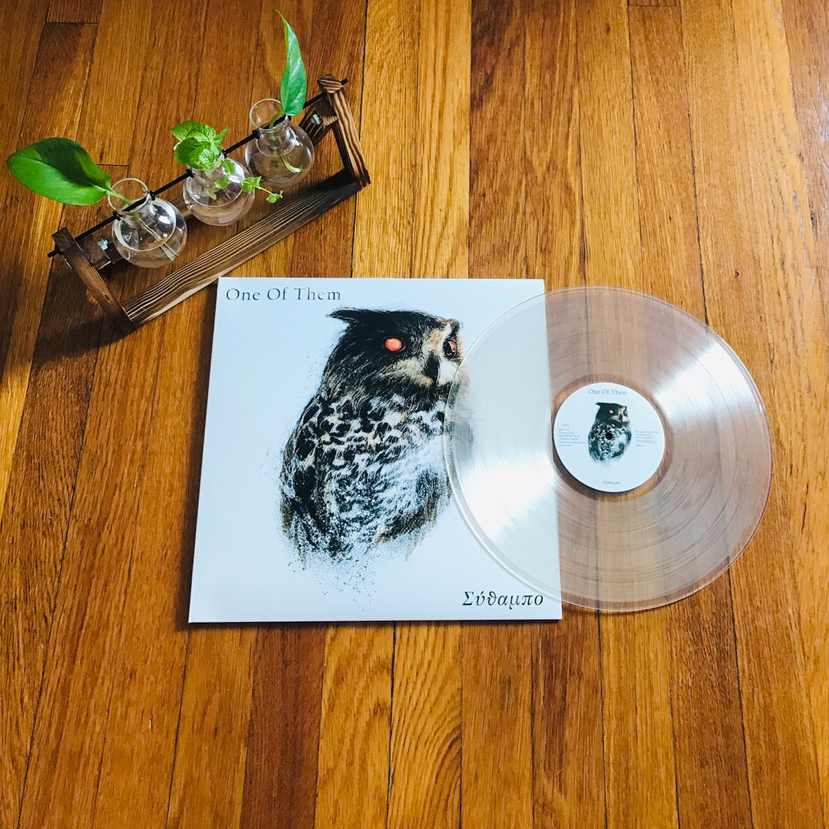 OwlArtificial's tweet image. Find our new album in 12" clear vinyl in Paris and @Syncrophone 
syncrophone.fr/a81ef92.tinyurl 
#NewRelease #recordstoreoftheday #vinyl #vinylcommunity #vinylrecord