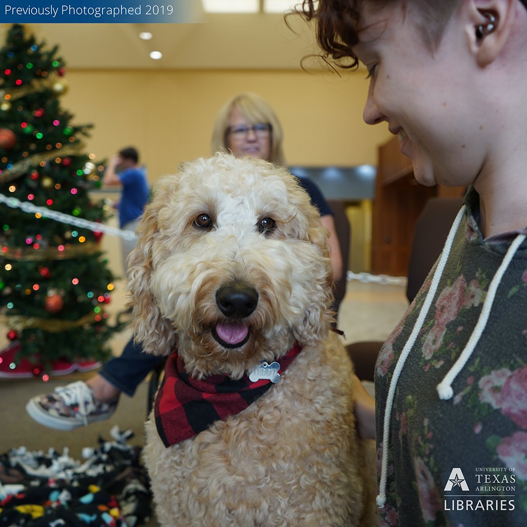 utalibraries's tweet image. Teddy is here to say it's okay—even necessary!—to take a break amidst all the studying.

#StudentStudyDay #WoofWednesday #LibraryDogs