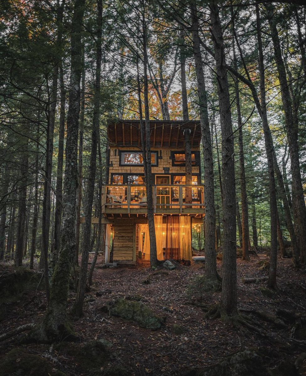 Cabin in the woods