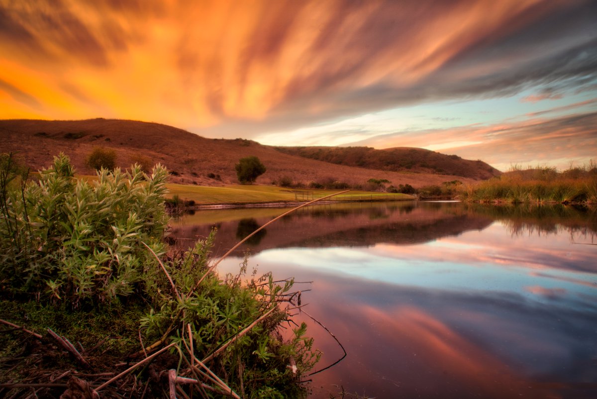 Michael Wolpoff,CGCS tweet media