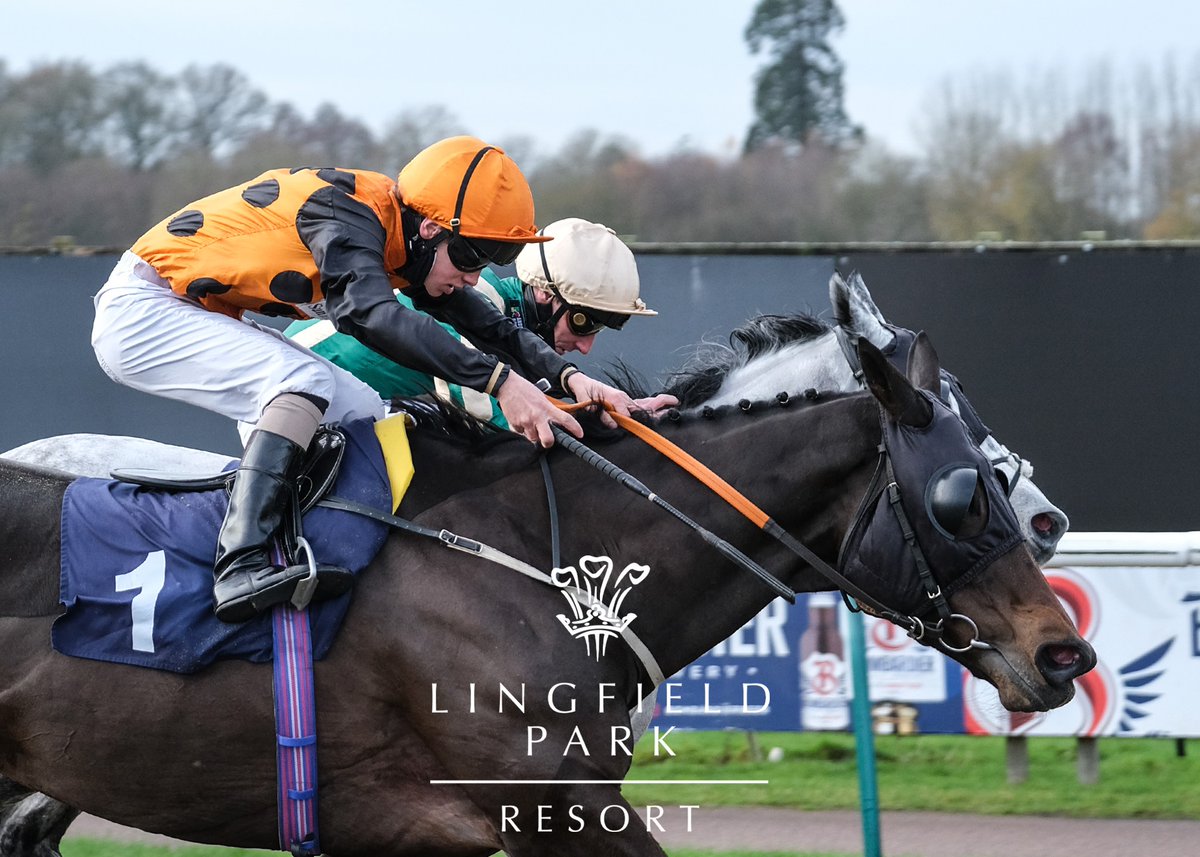 RACE 2 RESULT - @Bombardier_beer British-Hopped Amber Beer Handicap

🥇 Delicate Kiss
🥈 Markazi
🥉 Buckingham

Jockey: George Rooke

Trainer: John Bridger

Owners: DBD Partnership

📸: <a href="/Meganrosephoto/">Megan Ridgwell</a>