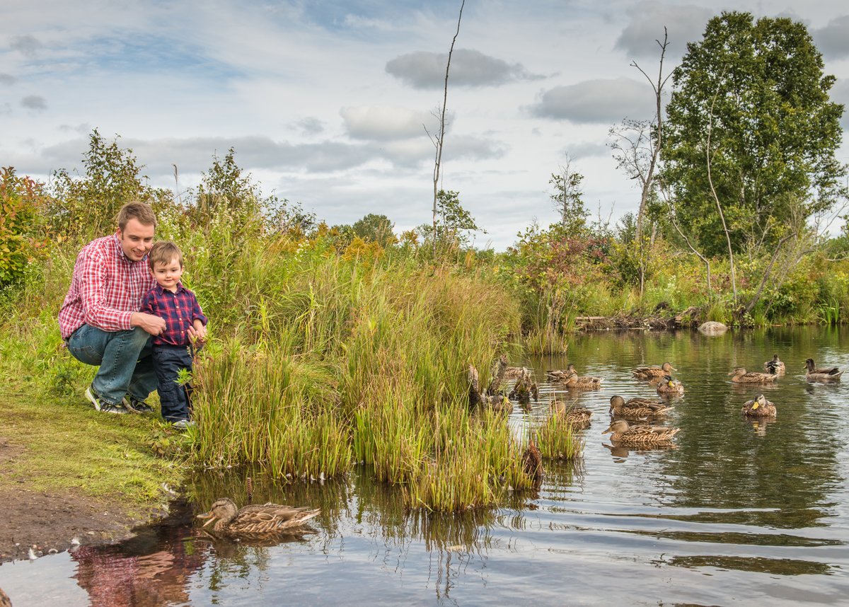 Wildlife in our national parks and national historic sites needs to stay wild. Never entice #wildlife with food or noises. Remember to #KeepWildlifeWild. ow.ly/bMB130jH7n3