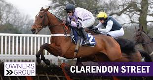 Margomia's tweet image. My horse #ClarendonStreet is running in the 2.17 at Doncaster on Friday 11th #DoubleMatch day at @thegoodexchange! Seems only right to donate any winnings to @Fairclosecentre @sevenbarrows @FairClose fingers crossed 🤞