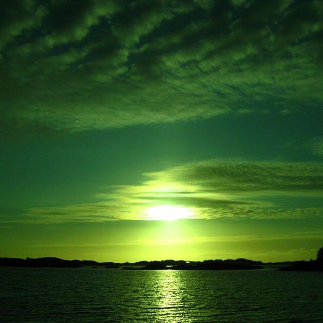 tom holland as beautiful sunsets: a thread