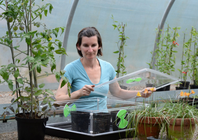 You can get seeds to germinate more successfully and encourage cuttings to root more quickly with heated propagators – but which one is best? We've tried and tested them...        theenglishgarden.co.uk/review/heated-…

#gardening #gardeningtips