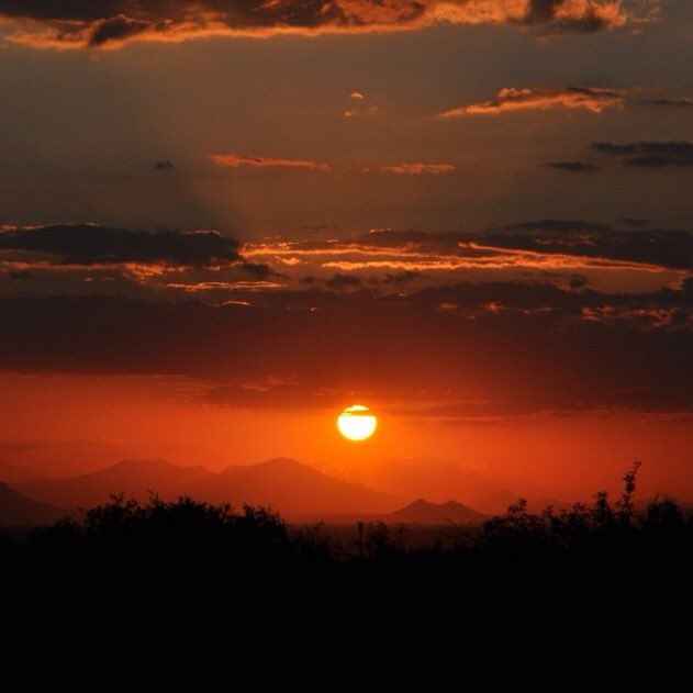 tom holland as beautiful sunsets: a thread