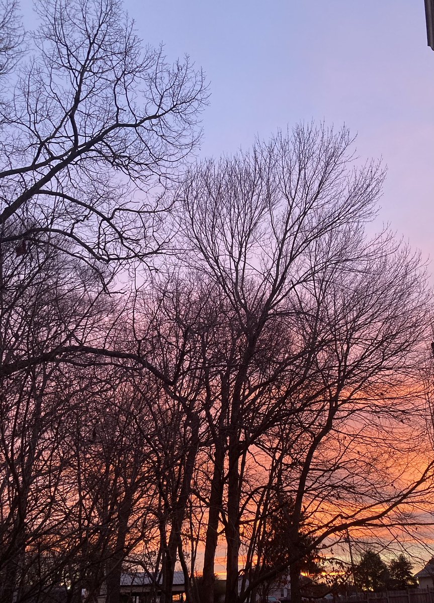 ChristineFasick's tweet photo. @montclair_elem Gorgeous!  I didn't see it until a little later in the morning, but was equally inspired ❤️ https://t.co/0D3JOyqLDX